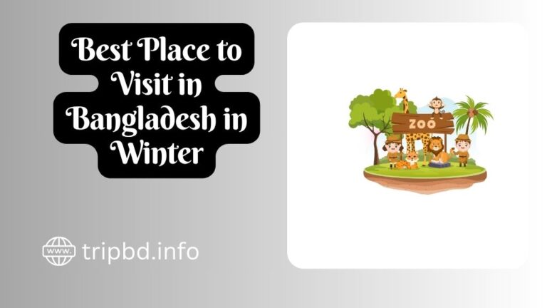Best Place to Visit in Bangladesh in Winter