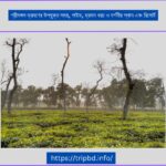 শ্রীমঙ্গল ভ্রমণের উপযুক্ত সময়, গাইড, ভ্রমন খরচ ও দর্শনীয় স্থান এবং রিসোর্ট