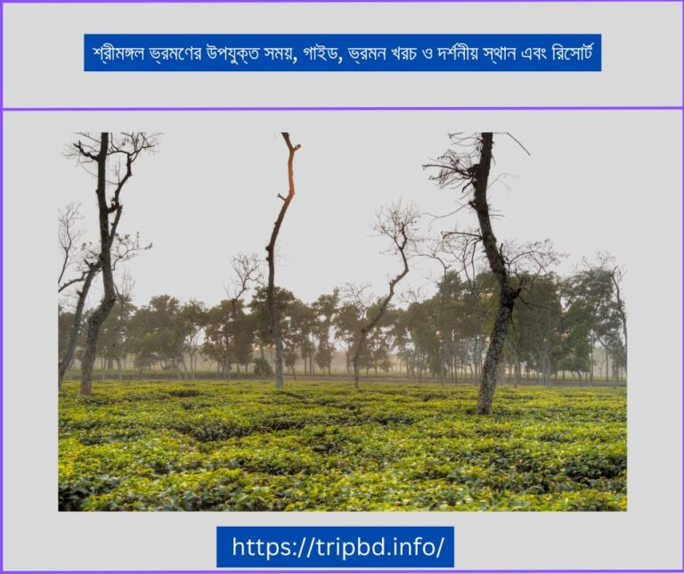 শ্রীমঙ্গল ভ্রমণের উপযুক্ত সময়, গাইড, ভ্রমন খরচ ও দর্শনীয় স্থান এবং রিসোর্ট